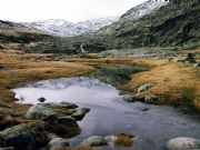 Dehesa de Gredos. vila